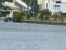 Mainschwimmen Juni 2026